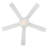 Pointsettia 52'' Ceiling Fan-1131303560-1131303463