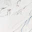 Calacatta Indigo 11.81" X 23.62" Polished Porcelain Floor & Wall Tile