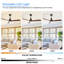 Ceiling Fan with LED Lights