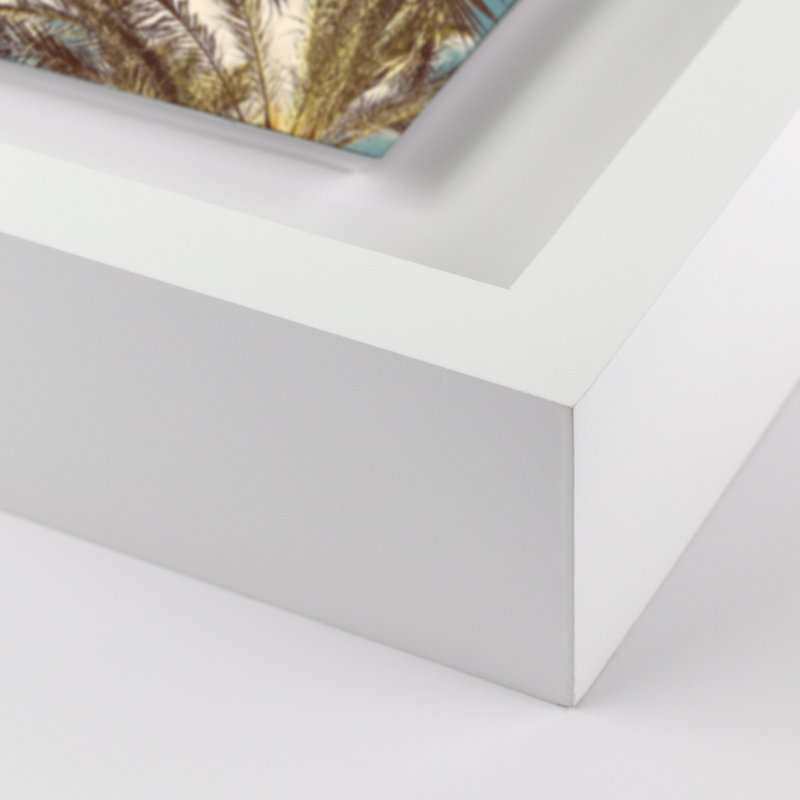 Palm II Print by Vitaliy Paykov, 24" H x 19" W x 1.5" D, White