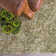 Allshouse Area Rug