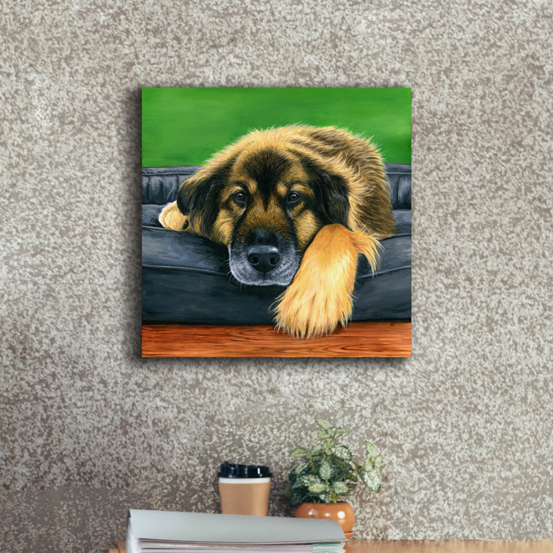 «Cute Shepherd Mix Dog» par Rebecca Wang, art mural sur toile, 37 po x 37 po, H 18 po x l 18 po x P 0,75 po