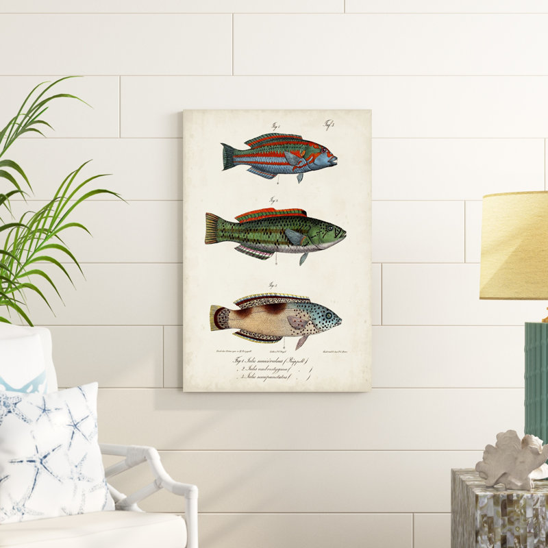 " Antique Fish Trio I ", 36" H x 24" W x 1.25" D