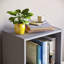 Gerardi 32cm W Standard Bookcase-70966734-70966731