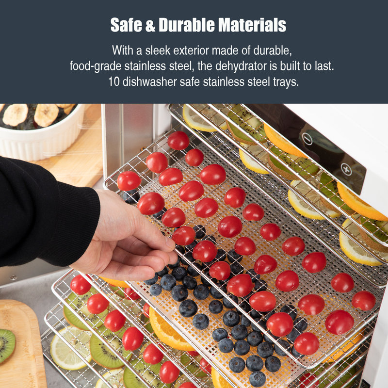 10 plateaux en acier inoxydable avec minuterie numérique et contrôle de la température, 900 watts