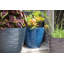 Brelyn Lightweight Recycled Plastic Windermere Plant Pot - Plastic-1888500510-1888500511
