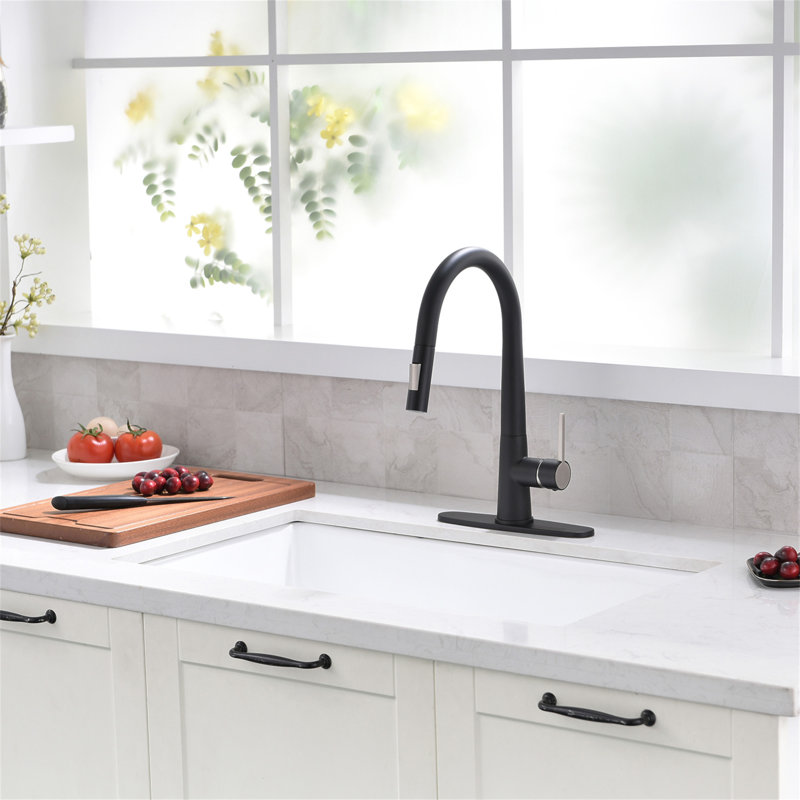 Pull Out Kitchen Faucet Black Kitchen Faucet Single Handle Kitchen Faucet