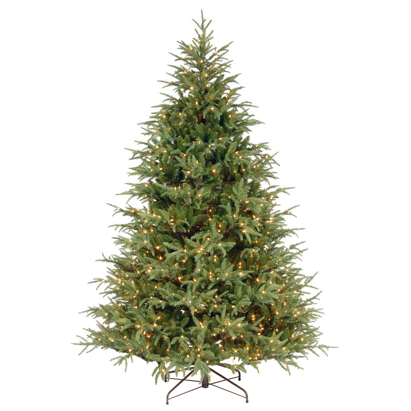 Frasier Grande Tree with Clear Lights, 7.5'