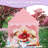 Princess Tent with Mat & Star Lights