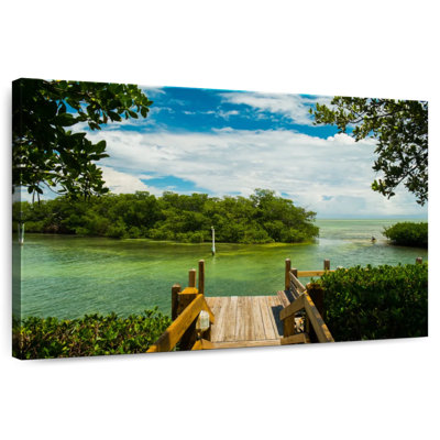Mangrove de Gillard, Florida Keys