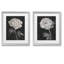 Fleurs noires et blanches, ensemble de 2 reproductions d’art graphique encadrées sur papier
