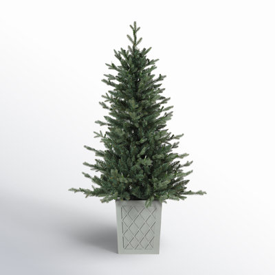 4.5' Lighted Artificial Spruce Christmas Tree