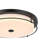 Ashok 20 inch LED Flush Mount-1200660686