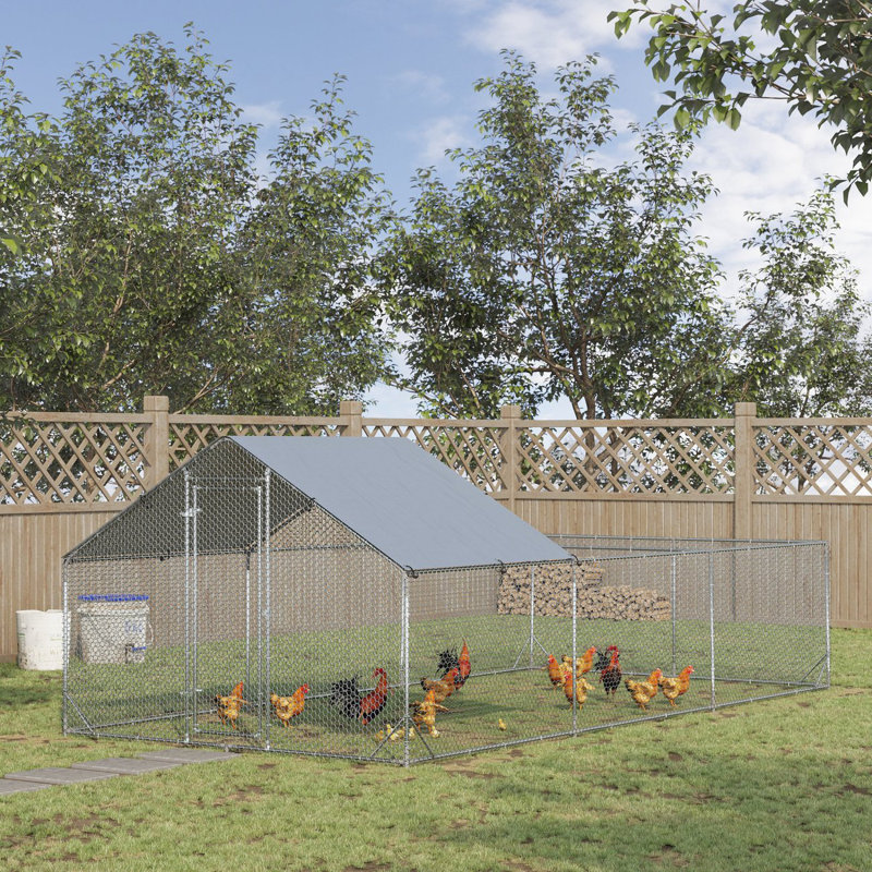 Grand poulailler en métal pour poulets Pawhut