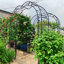 Arche de jardin en métal avec 8 styles, assemblage facile, treillis gothique pour plantes grimpantes-114493281