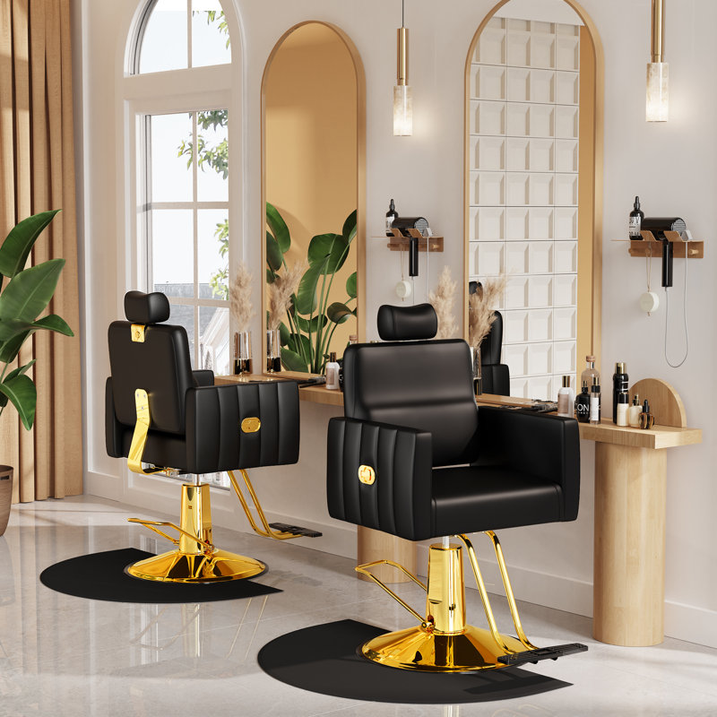 Baasha Comfortable Reclining Salon Chair With Removable Headrest,Gold Stylist Salon Chair Black Barber Chairs Weight Capacity Up To 440 Lbs