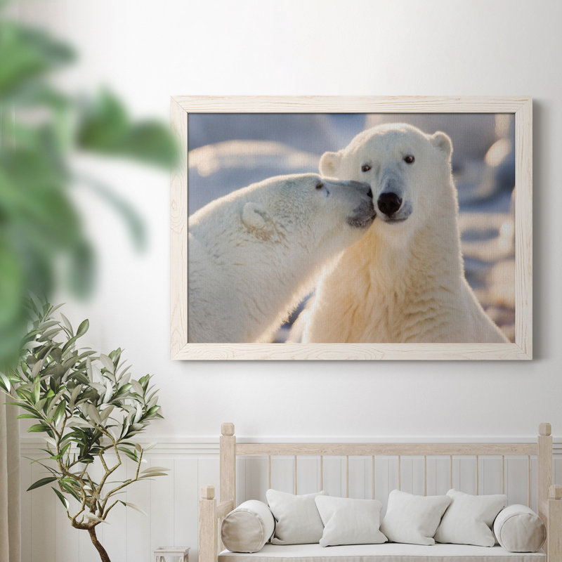 Baiser d'ours polaire - photographie sur toile, H 31 po x l 44 po x P 0,75 po, Blanc