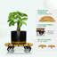 Boîtes à fleurs rondes en bois -307455032-309267280