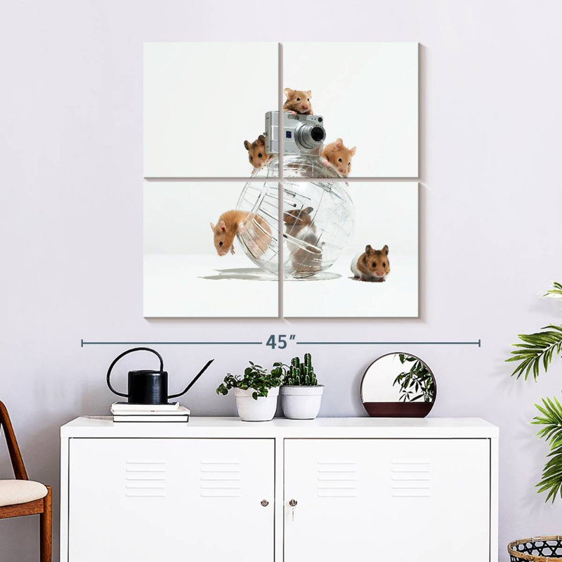 Brampt image de hamster parfait, H 32 po x l 32 po