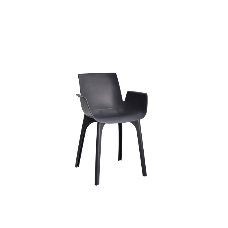 Katelan Patio Dining Armchair with Cushion