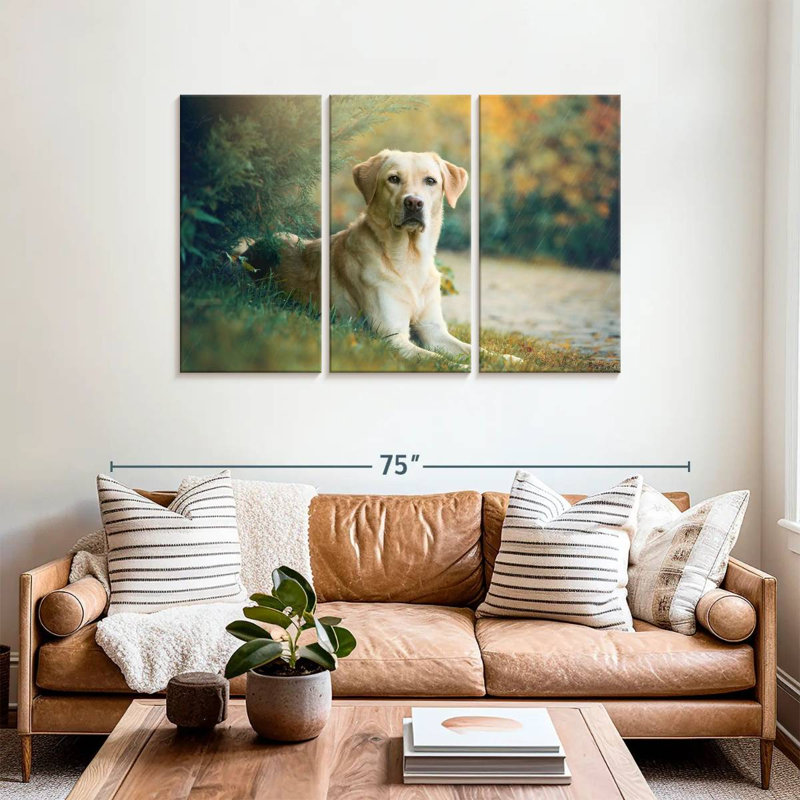Brampt Labrador Retriever Mix, H 36 po x l 57 po