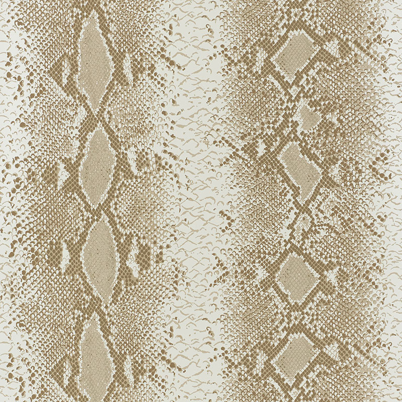Papier peint charmeur de serpent, Sable
