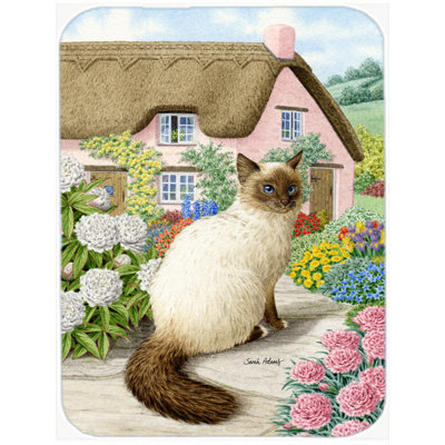 Birman Glass Cutting Board