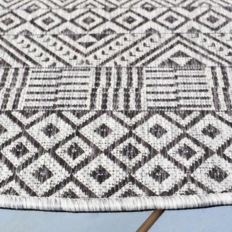 Delacruz Performance Southwestern Indoor/Outdoor Area Rug, Runner 2'3" x 16'
