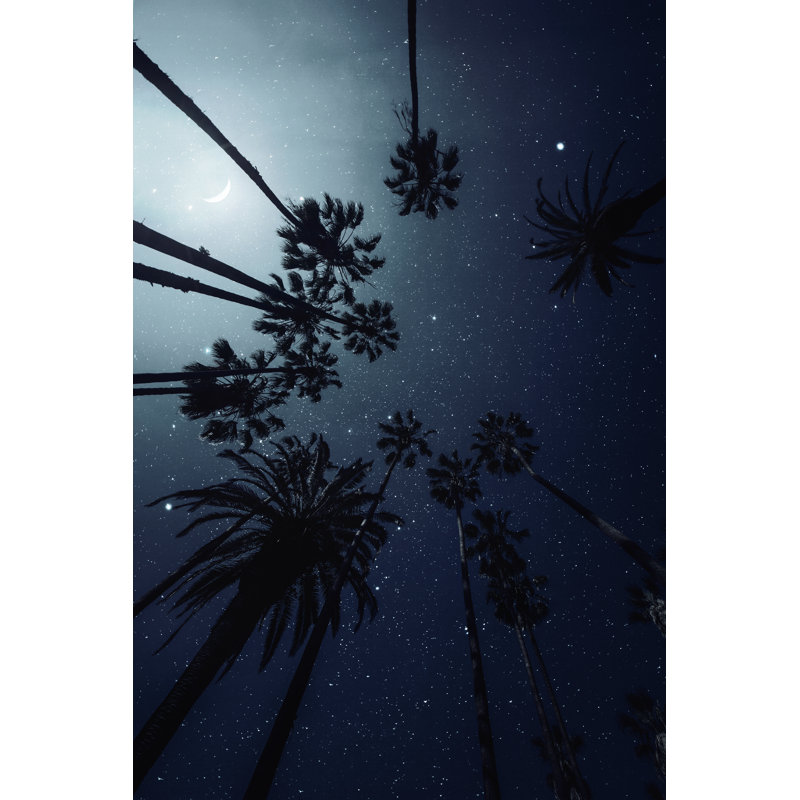 Palm Trees - Wrapped Canvas Print, 30cm H x 20cm W x 3.8cm D