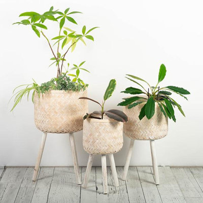 Sirrah Plant Stand - Set of 3