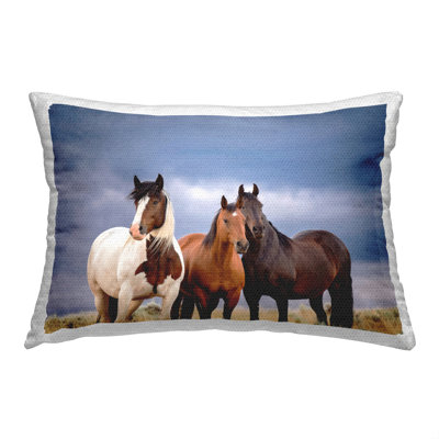 Polyester Throw Rectangular Indoor/Outdoor Pillow Cover & Insert by PHBurchett