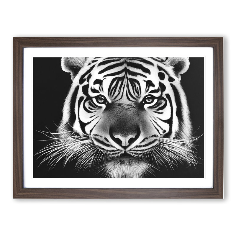 Monochrome Tiger Vol.2 - Framed Print, 46cm H x 64cm W x 2cm D, Brown Framed