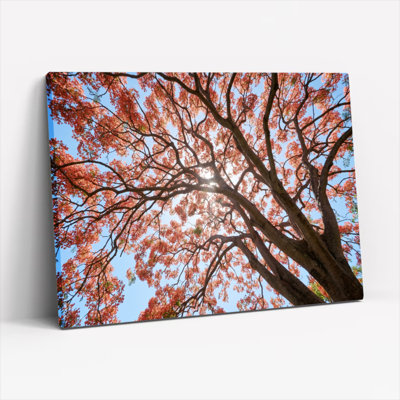Art mural sur toile Gallery Wrap pour le salon, la chambre à coucher, le bureau ou le vestibule - décoration murale décorative avec arbre d'automne