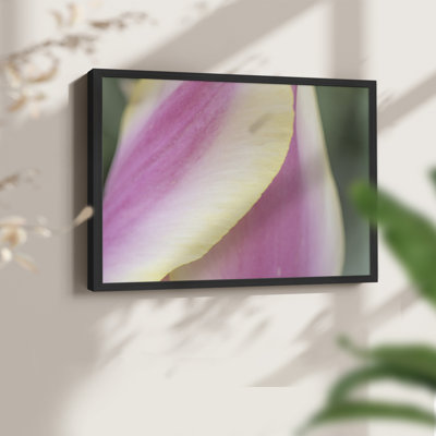 Delicate -Framed Print - Restickable