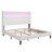Cendi 50'' Upholstered Queen Platform Bed with LED Lights, White-91101306-91101305