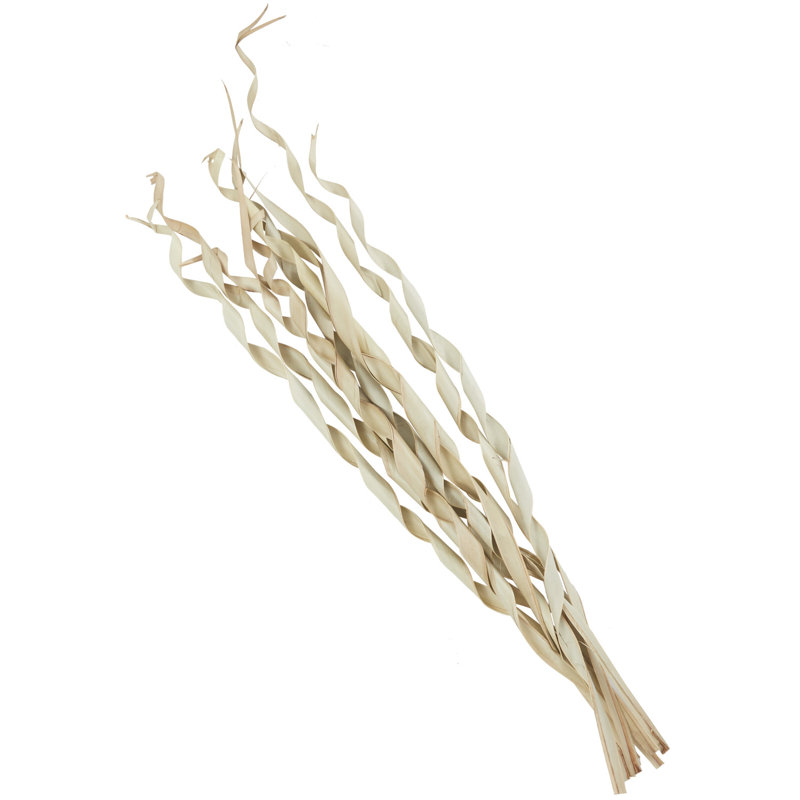 Berglund Palm Leaf Sculpture, Cream
