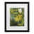 Black Framed selected