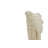 Fringed Cotton Throw Pillow