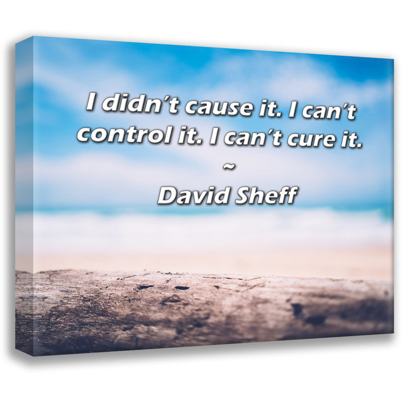 Dovecove Gallery Wrapped Canvas By David Sheff: "I didn’t cause it. I can’t control it. I can’t, 17" H x 24" W