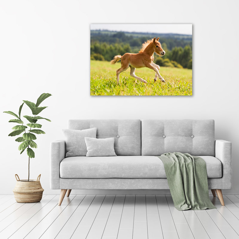 Foal In Gallop - Wrapped Canvas Print