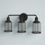 Leyden 3-Light Dimmable Steel Vanity Light