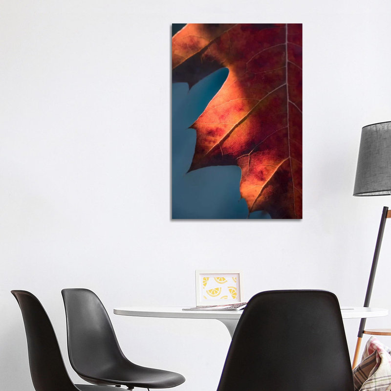 Autumn Sweetness by Philippe Sainte-Laudy - Print on Canvas, 66.04 cm H x 45.72 cm W x 3.175 cm D, Wrapped Canvas