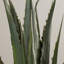 132.08cm Faux Succulent Plant in Planter