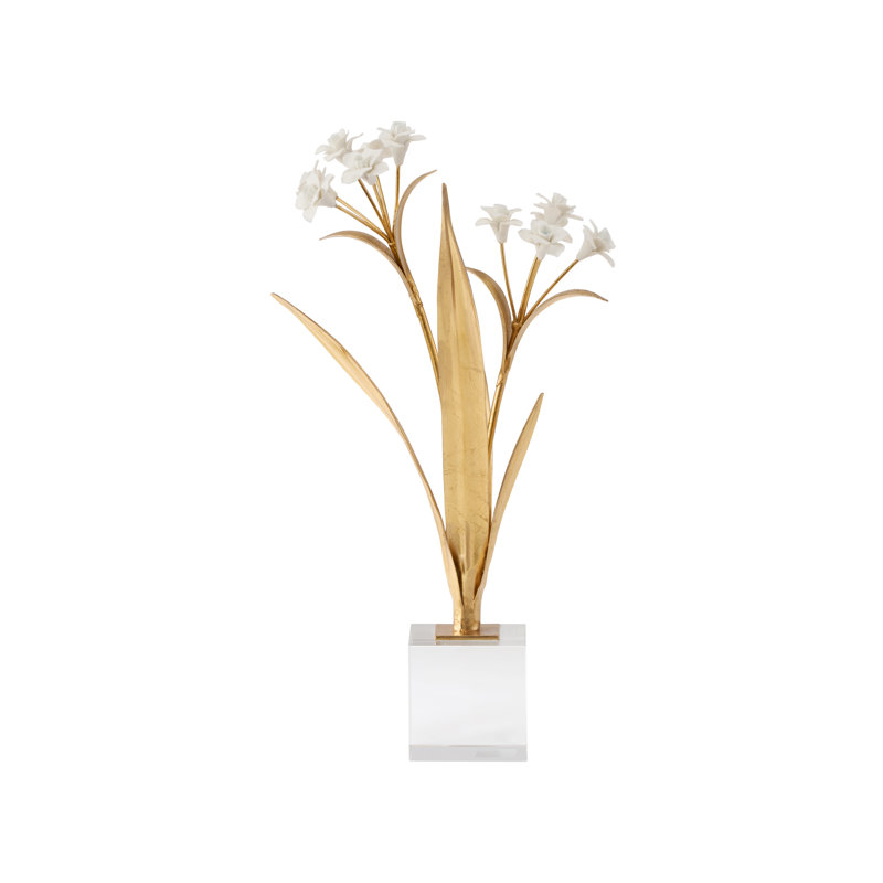 Paperwhite Narcissus