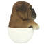 Figurine chiot puppuccino