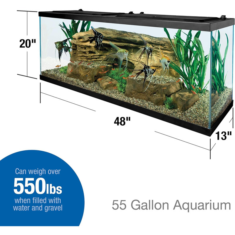 Glass Aquarium, Rectangular Fish Tank, Assorted Colour, 55 Gallon (20" H x 48" W x 13" D)