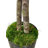 Handmade Artificial 6.5' Enkianthus Tree with Real Wood