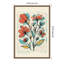«Blooming Sketches» par Treechild, reproduction d'art sur toile encadrée