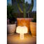 La lampe Boleti