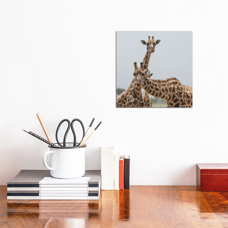 Africa, Kenya, Amboseli National Park. Close-Up Of Giraffes. by Jaynes Gallery - Wrapped Canvas Print
